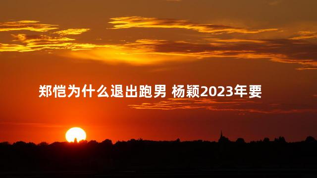 郑恺为什么退出跑男 杨颖2023年要退出跑男吗